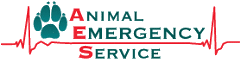 Animal Ambulance